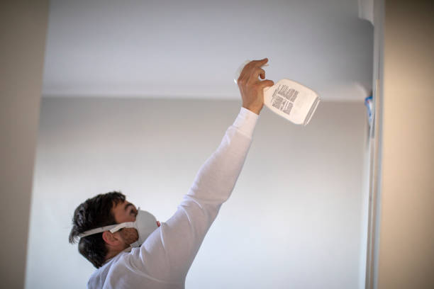 Best Localized Mold Remediation (e.g., coastal areas, humid climates) in Island Lake, IL