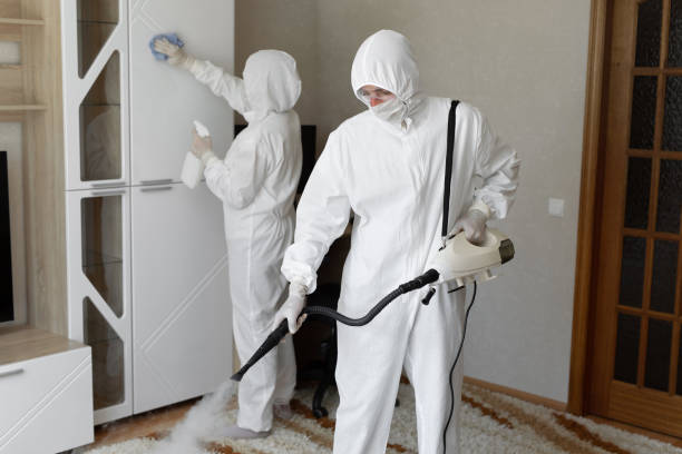 Best Industrial Mold Remediation in Island Lake, IL
